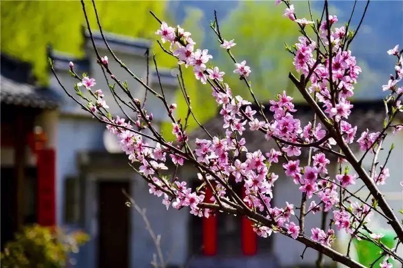 金沙990线路检测(集团)有限公司官网