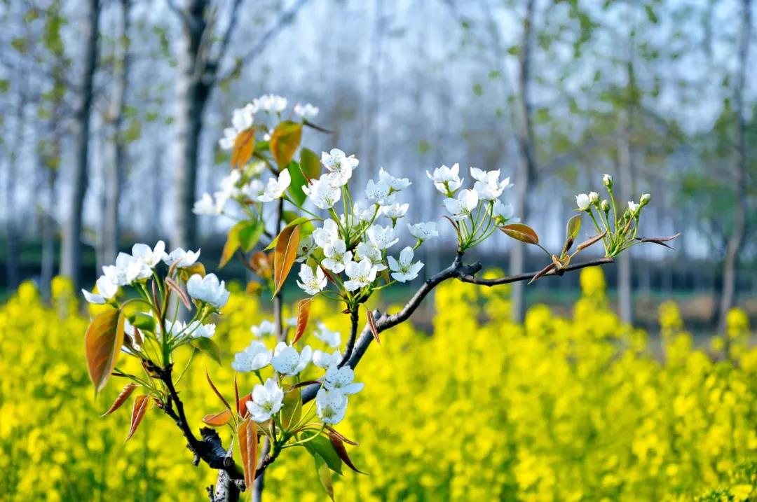 金沙990线路检测精机