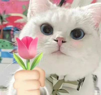 金沙990线路检测(集团)有限公司官网