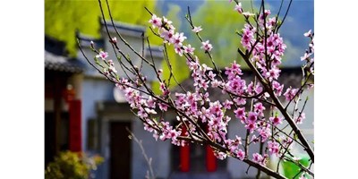 阳春三月，，，，金沙990线路检测精机一大波展会即未来袭，，，，您准备好了吗？？？？？？